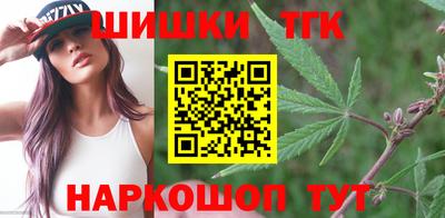 индика Донецк