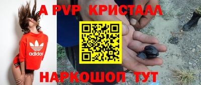 индика Донецк